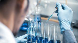 Paternity Lab